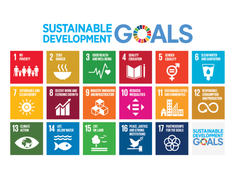 sdg-logo